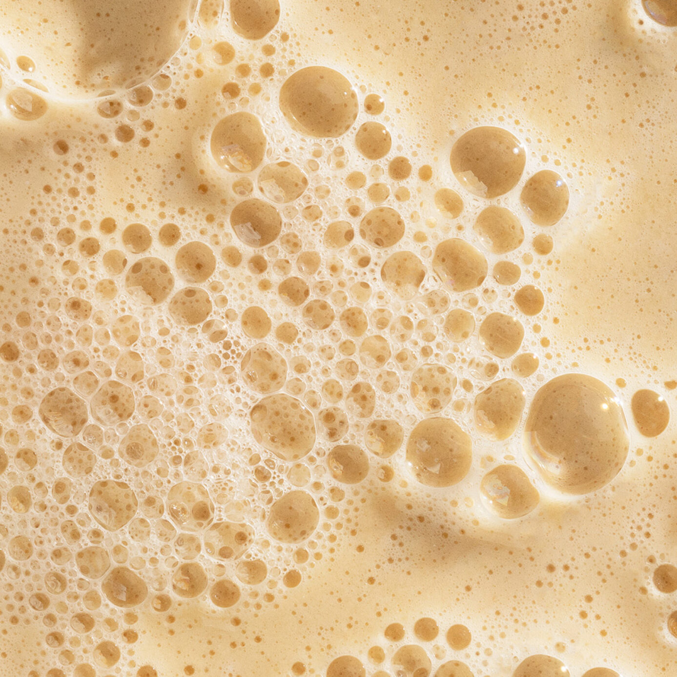 Daily Milkfoliant Exfoliator 13g