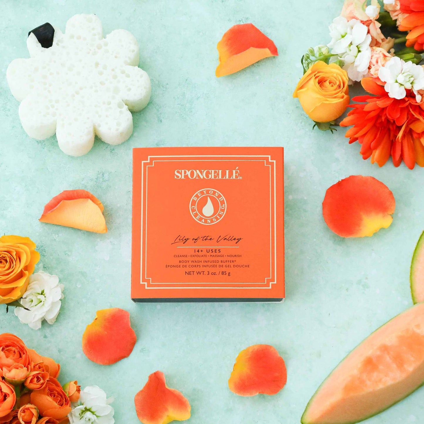 Boxed Flower Lily Of The Valley