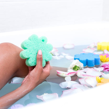 Wild Flower Coconut Verbena