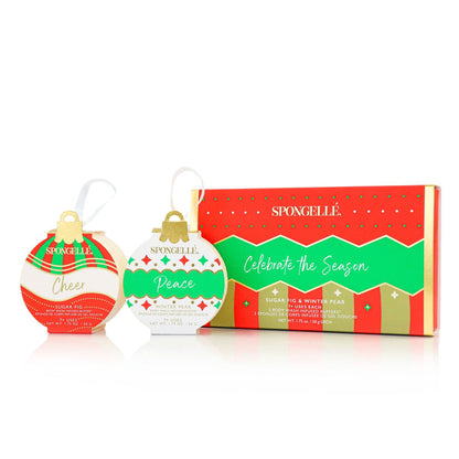 Holiday Ornaments Gift Set - Celebrate The Season