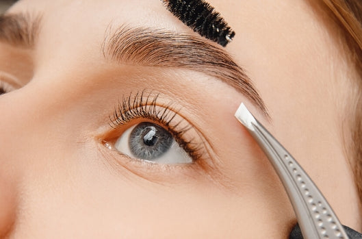 Lash & Brow Treatments